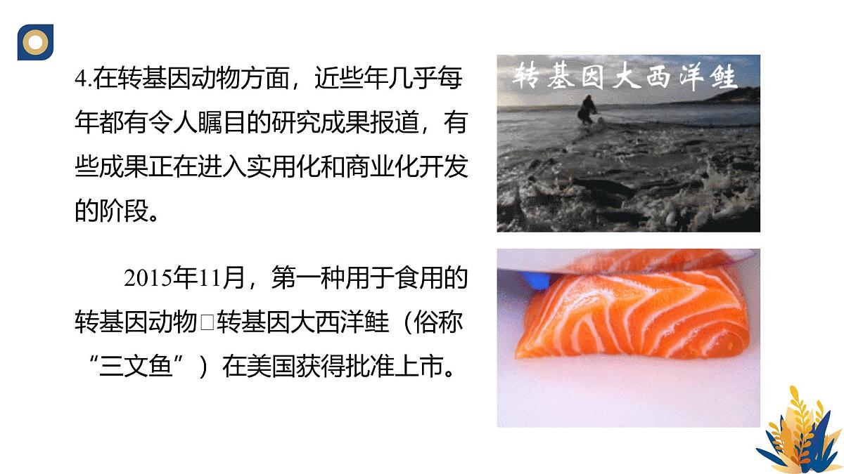 人教版高中生物 选修3《3-3 基因工程的应用》教学课件2第5页