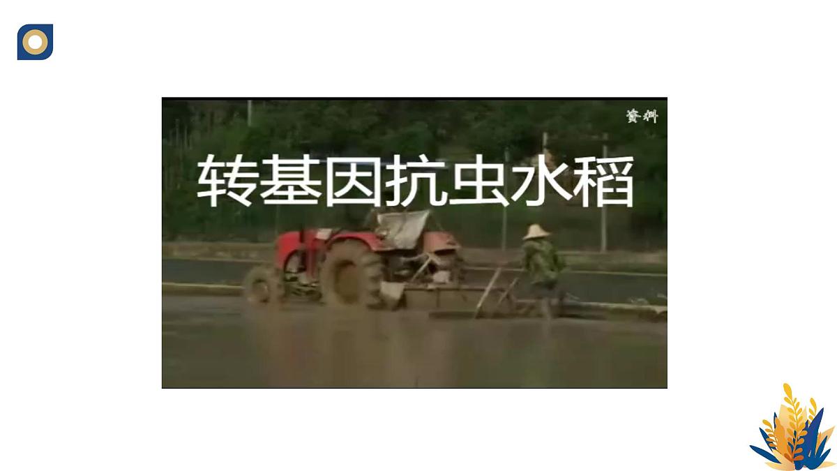 人教版高中生物 选修3《3-3 基因工程的应用》教学课件2第7页