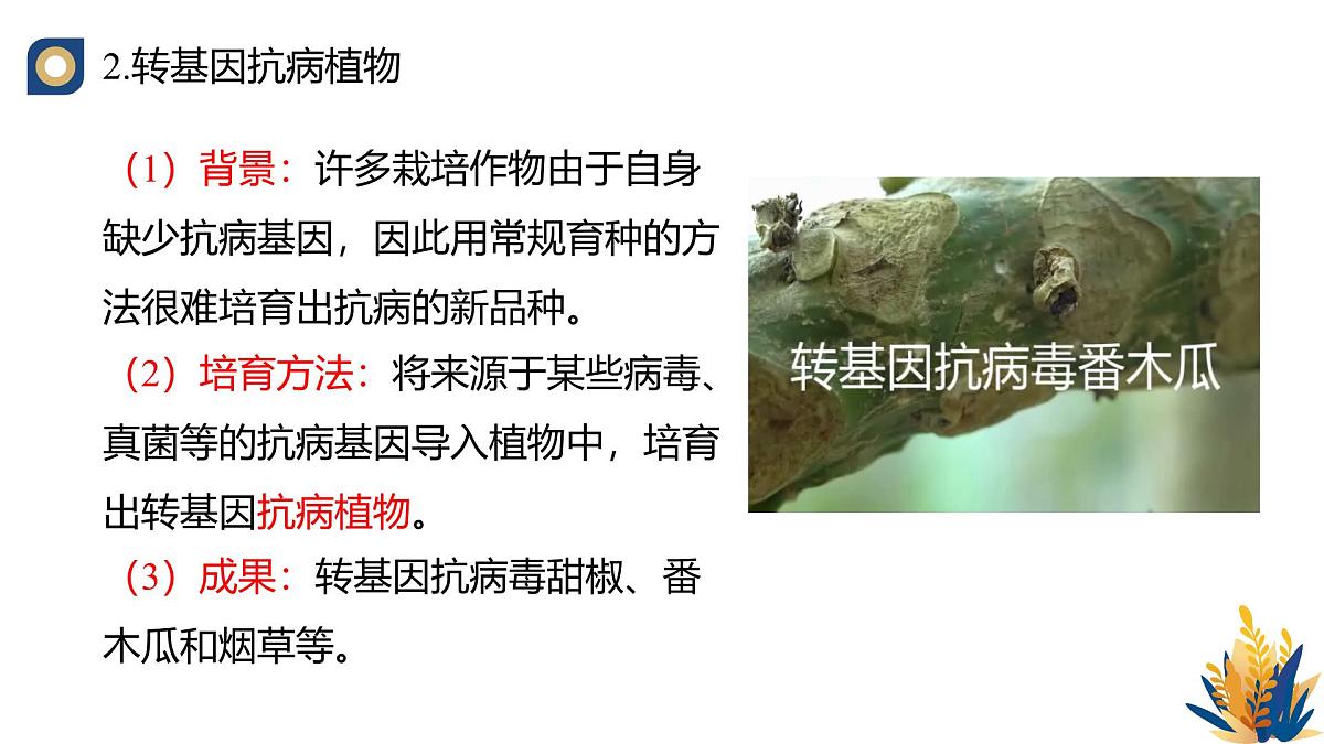 人教版高中生物 选修3《3-3 基因工程的应用》教学课件2第8页