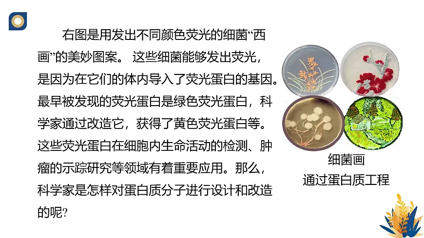 人教版高中生物 选修3《3-4 蛋白质工程的原理和应用》教学课件第2页