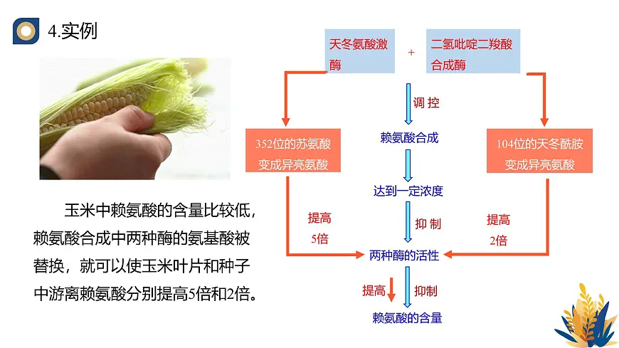 人教版高中生物 选修3《3-4 蛋白质工程的原理和应用》教学课件第6页