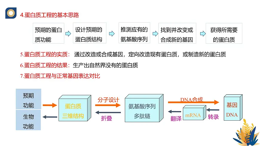 人教版高中生物 选修3《3-4 蛋白质工程的原理和应用》教学课件第8页
