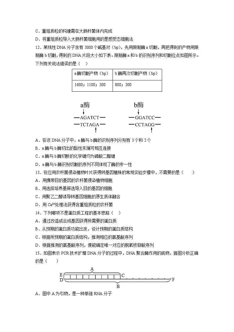 人教版高中生物 选修3第3章 基因工程 能力提升卷 无答案第3页