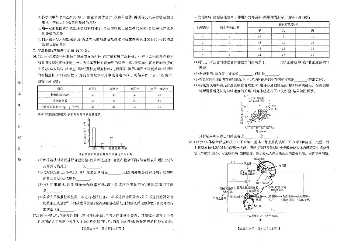 四川省金太阳2025届高三2月开学考试生物试卷（含答案）第3页