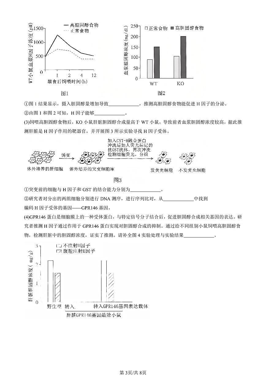 2023-2025北京重点校高三（上）期末真题生物汇编：重组DNA技术的基本工具第3页