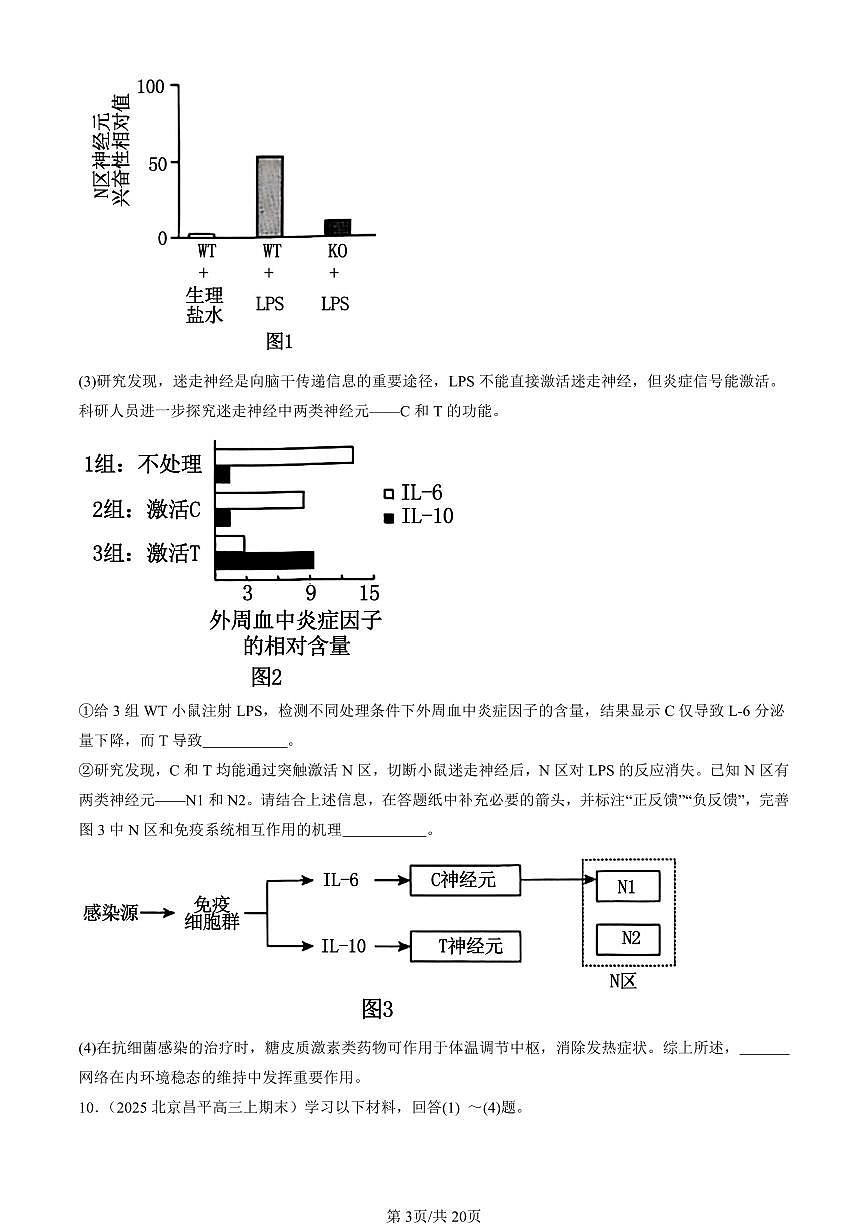 2025北京重点校高三（上）期末真题生物汇编：免疫调节章节综合第3页