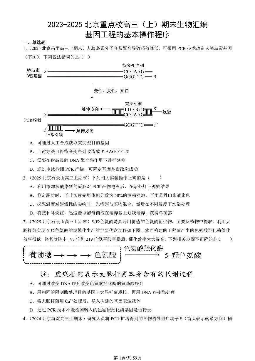 2023-2025北京重点校高三（上）期末真题生物汇编：基因工程的基本操作程序第1页