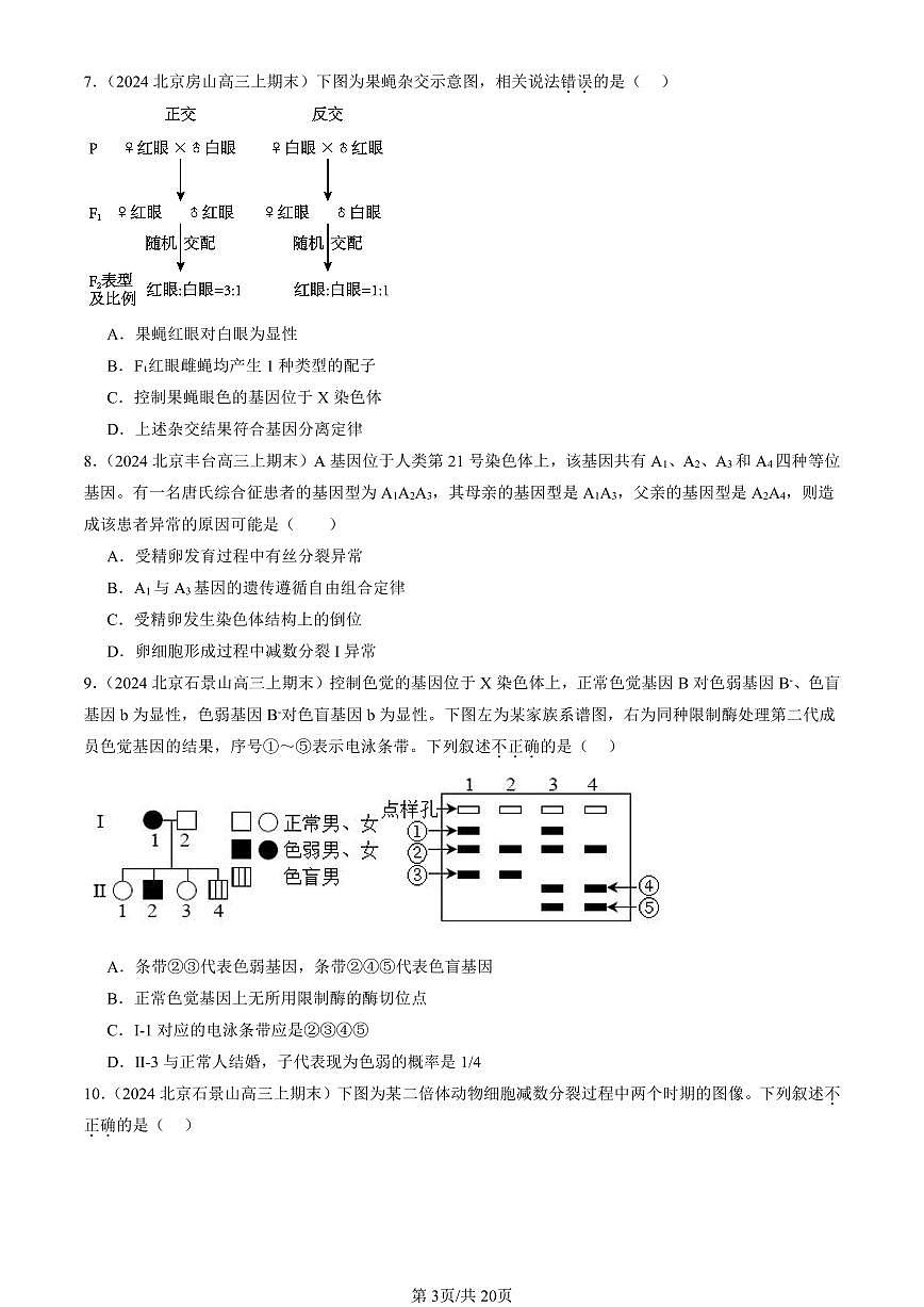 2023-2025北京重点校高三（上）期末真题生物汇编：基因和染色体的关系章节综合第3页