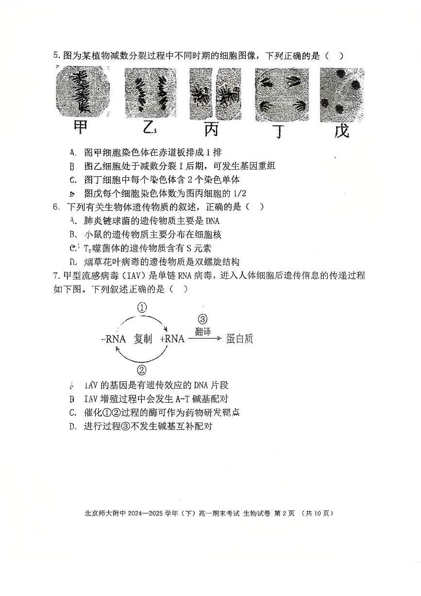 2025北京北师大附中高一（下）期末真题生物试卷第2页