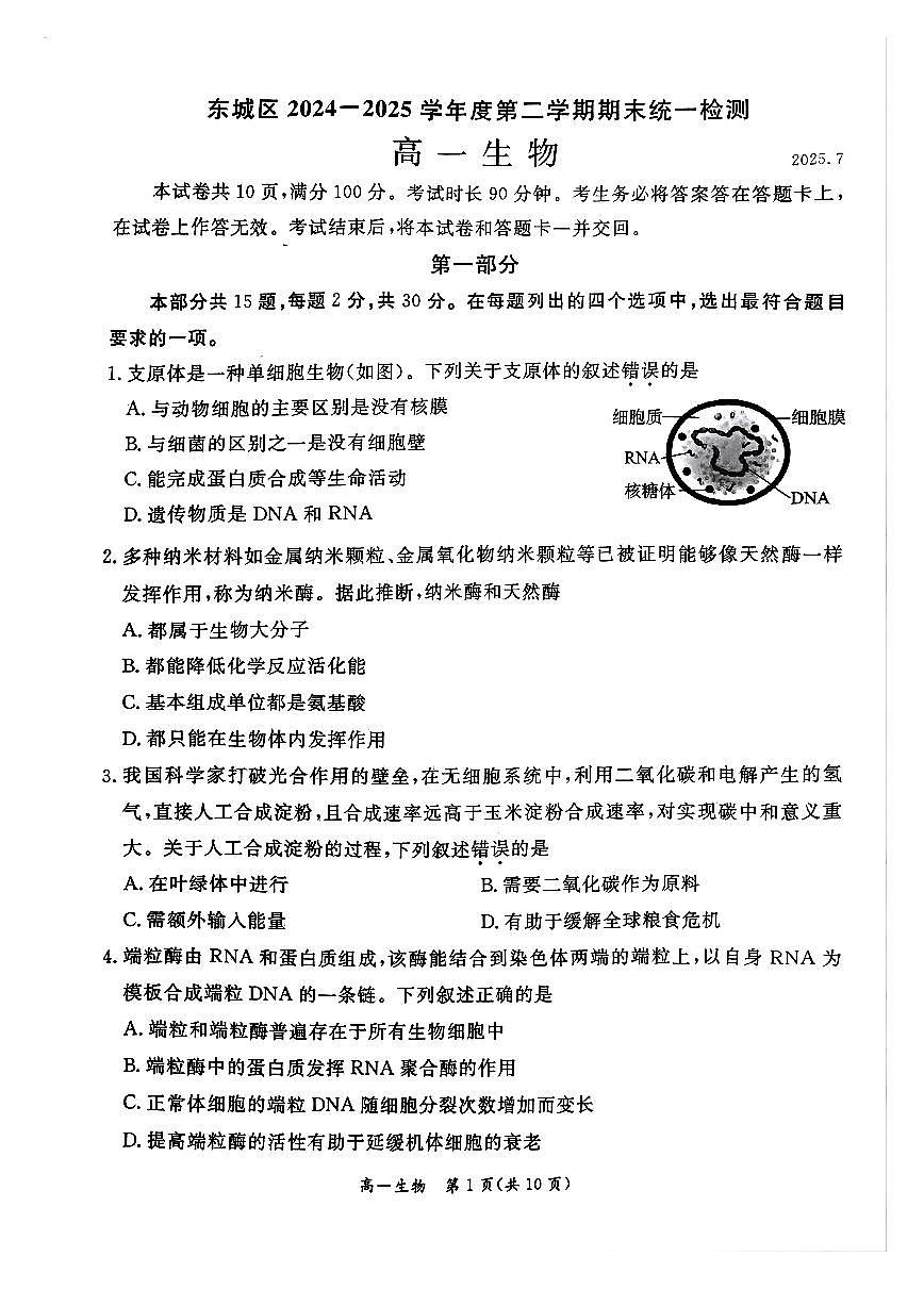 2025北京东城高一（下）期末真题生物试卷第1页