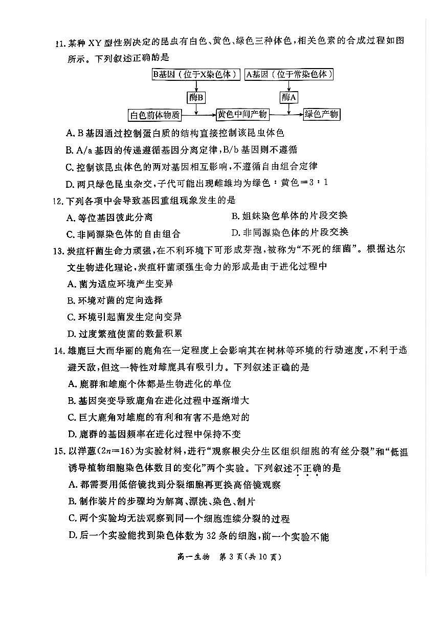 2025北京东城高一（下）期末真题生物试卷第3页