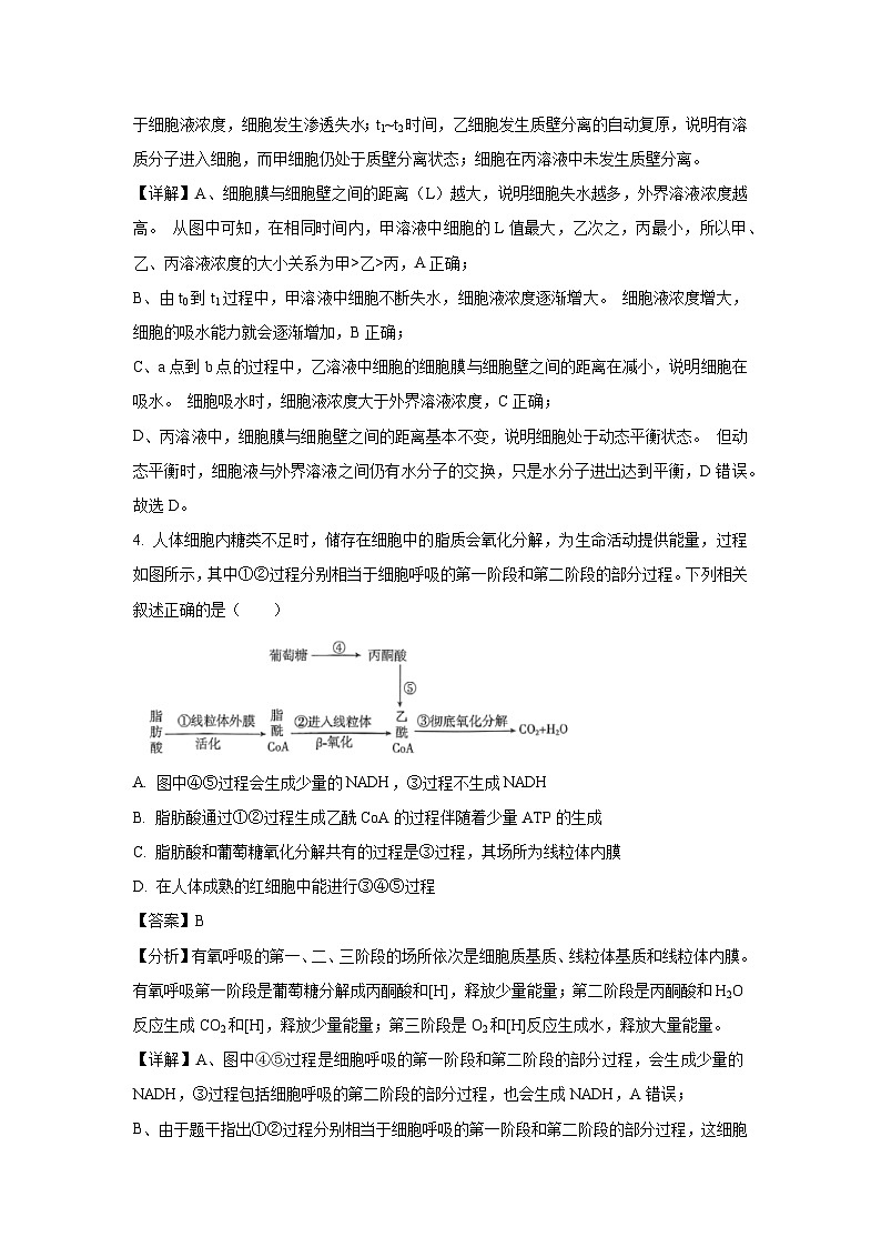 山西省晋城市部分学校2025届高三下第三次模拟考试生物试卷（解析版）第3页