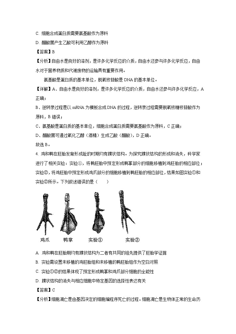 河北省（石家庄市）部分学校2025届高三下5月模拟(五）生物试卷（解析版）第3页