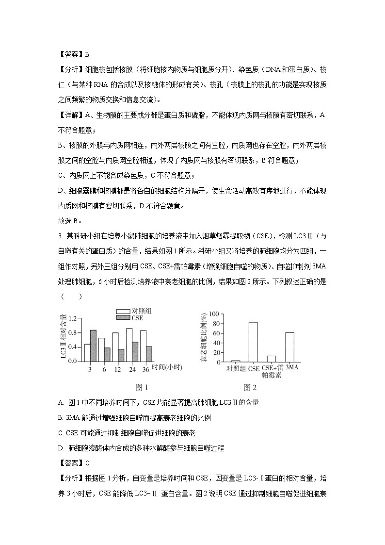 河南省信阳市2025届高三下5月两校联考生物试卷（解析版）第2页