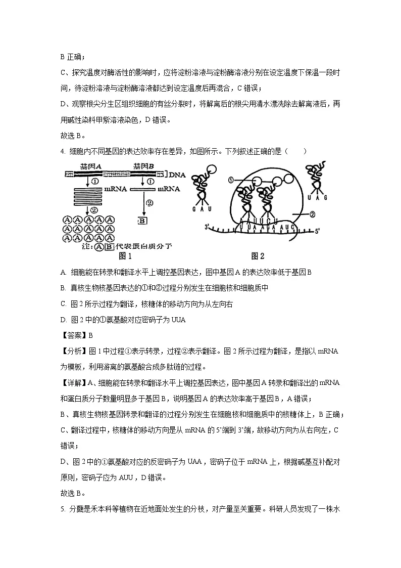 天津市滨海新区2025届高三三模生物试卷（解析版）第3页