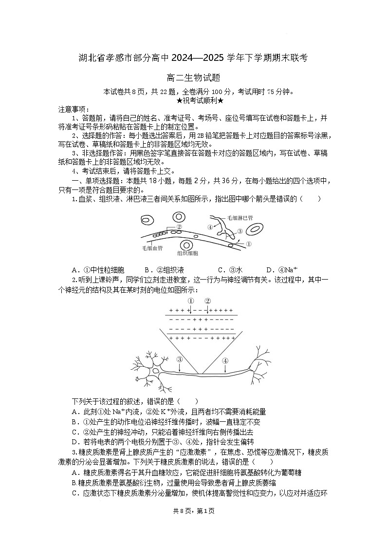 湖北省孝感市2024-2025学年高二下学期7月期末联考生物试卷第1页