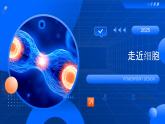 第1章 走近细胞-2025-2026学年高一生物上学期核心知识概括课件（人教版2019必修1）