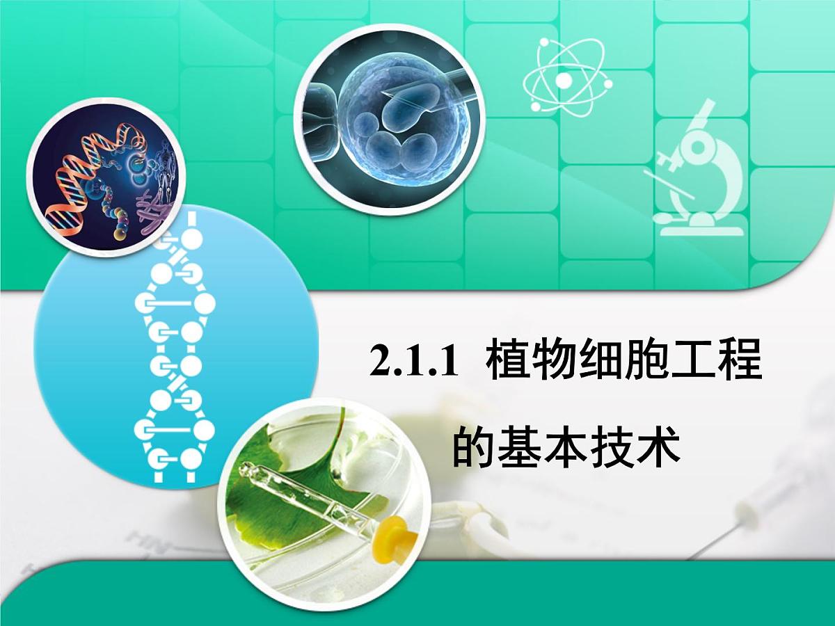 人教版 (新课标)高中生物选修3 2.1.1《植物细胞工程的基本技术》复习课件第1页