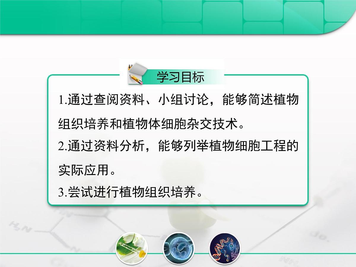 人教版 (新课标)高中生物选修3 2.1.1《植物细胞工程的基本技术》复习课件第2页