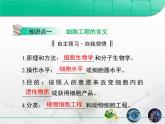 人教版 (新課標(biāo))高中生物選修3 2.1.1《植物細(xì)胞工程的基本技術(shù)》復(fù)習(xí)課件