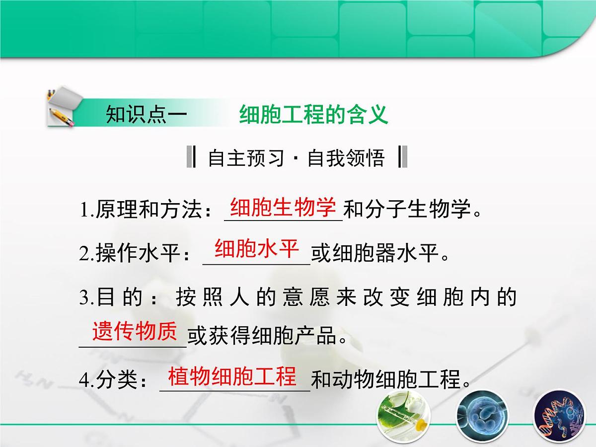 人教版 (新课标)高中生物选修3 2.1.1《植物细胞工程的基本技术》复习课件第3页