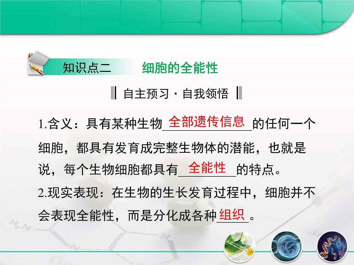 人教版 (新课标)高中生物选修3 2.1.1《植物细胞工程的基本技术》复习课件第4页