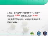 人教版 (新課標(biāo))高中生物選修3 2.1.1《植物細(xì)胞工程的基本技術(shù)》復(fù)習(xí)課件