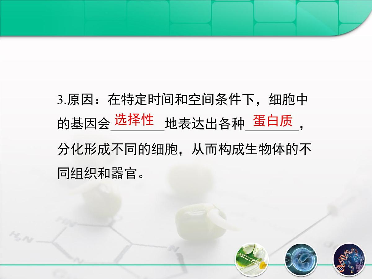 人教版 (新课标)高中生物选修3 2.1.1《植物细胞工程的基本技术》复习课件第5页