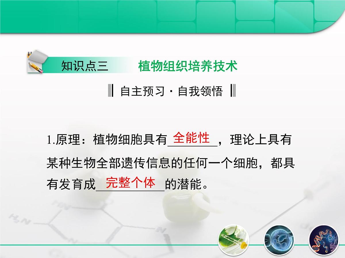 人教版 (新课标)高中生物选修3 2.1.1《植物细胞工程的基本技术》复习课件第6页