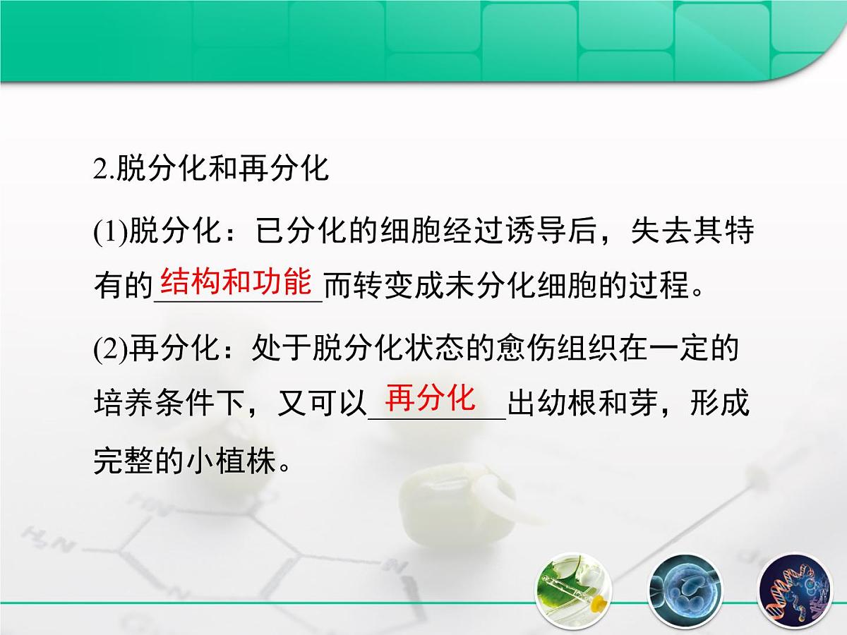人教版 (新课标)高中生物选修3 2.1.1《植物细胞工程的基本技术》复习课件第7页