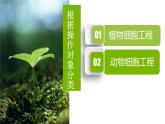人教版 (新課標(biāo))高中生物選修3 2.1.1《植物細(xì)胞工程的基本技術(shù)》課件