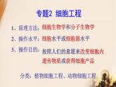 人教版 (新課標(biāo))高中生物選修3 2.1.1《植物細(xì)胞工程的基本技術(shù)》課件