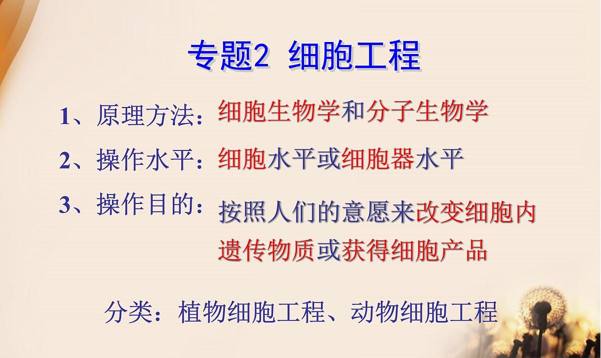 人教版 (新课标)高中生物选修3 2.1.1《植物细胞工程的基本技术》课件第3页