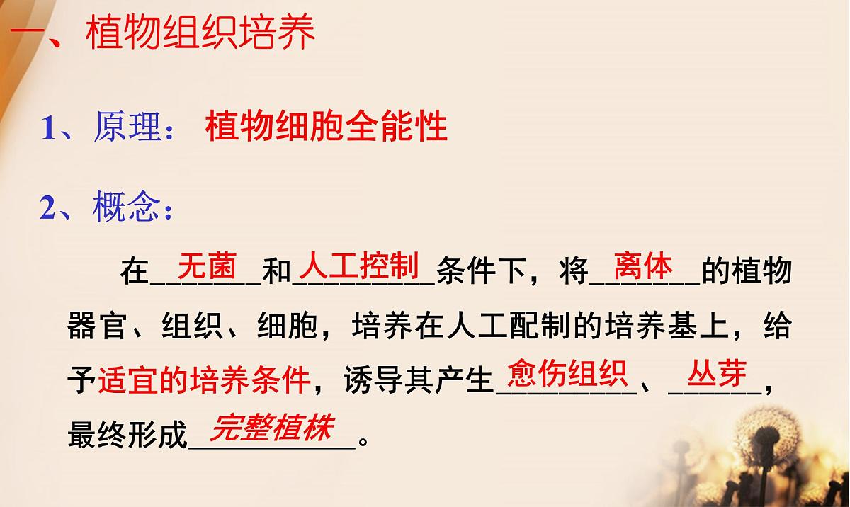 人教版 (新课标)高中生物选修3 2.1.1《植物细胞工程的基本技术》课件第7页