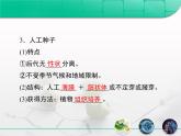 人教版 (新課標)高中生物選修3 2.1.2《植物細胞工程的實際應(yīng)用》復習課件