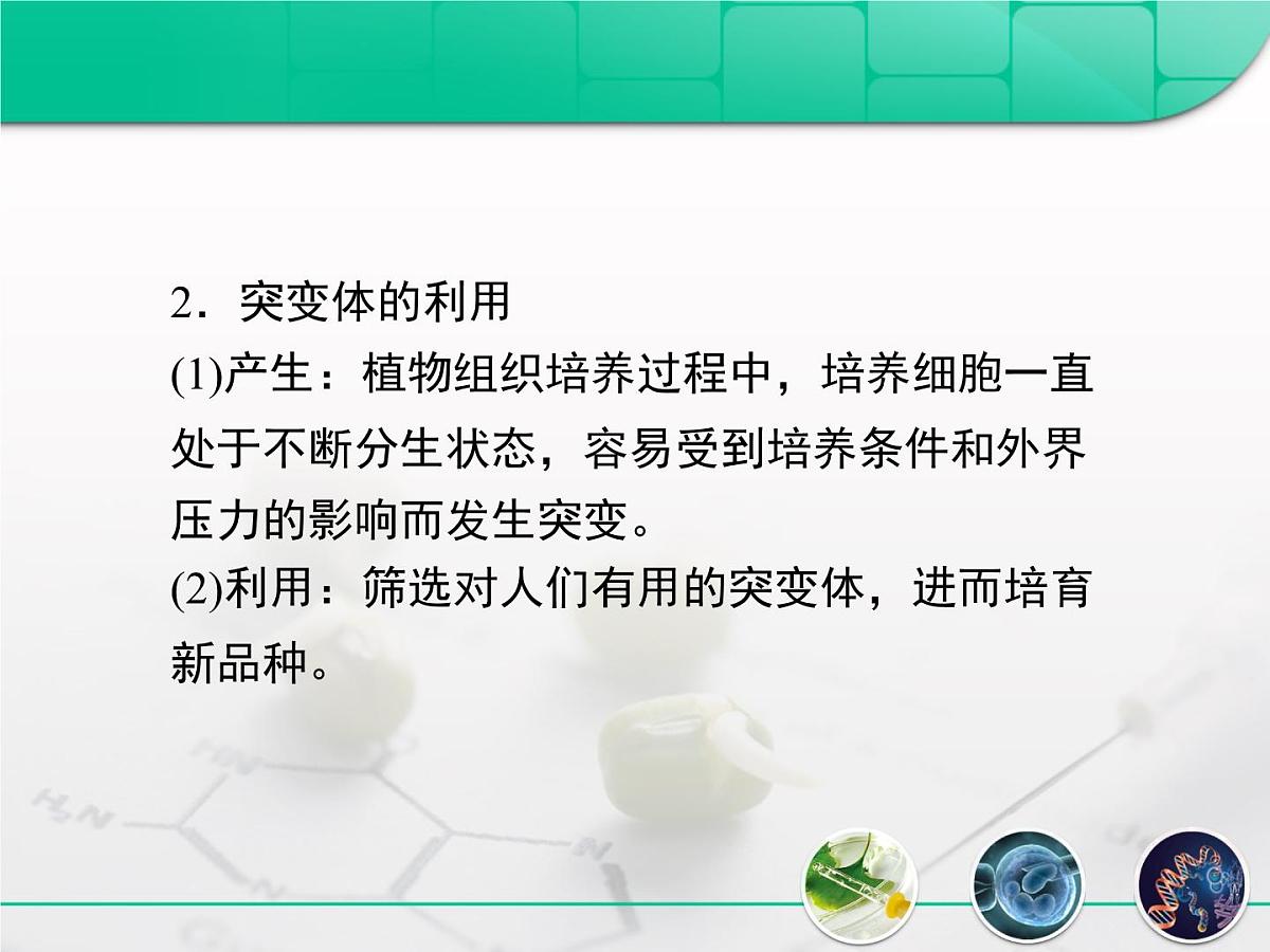 人教版 (新课标)高中生物选修3 2.1.2《植物细胞工程的实际应用》复习课件第6页