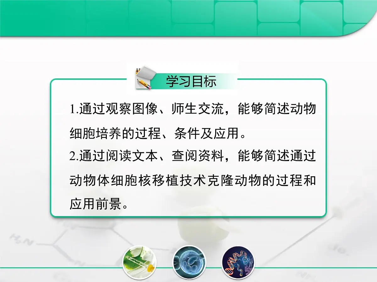 人教版 (新课标)高中生物选修3 2.2.1《动物细胞培养和核移植技术》复习课件第2页