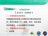 人教版 (新課標(biāo))高中生物選修3 2.2.1《動(dòng)物細(xì)胞培養(yǎng)和核移植技術(shù)》復(fù)習(xí)課件