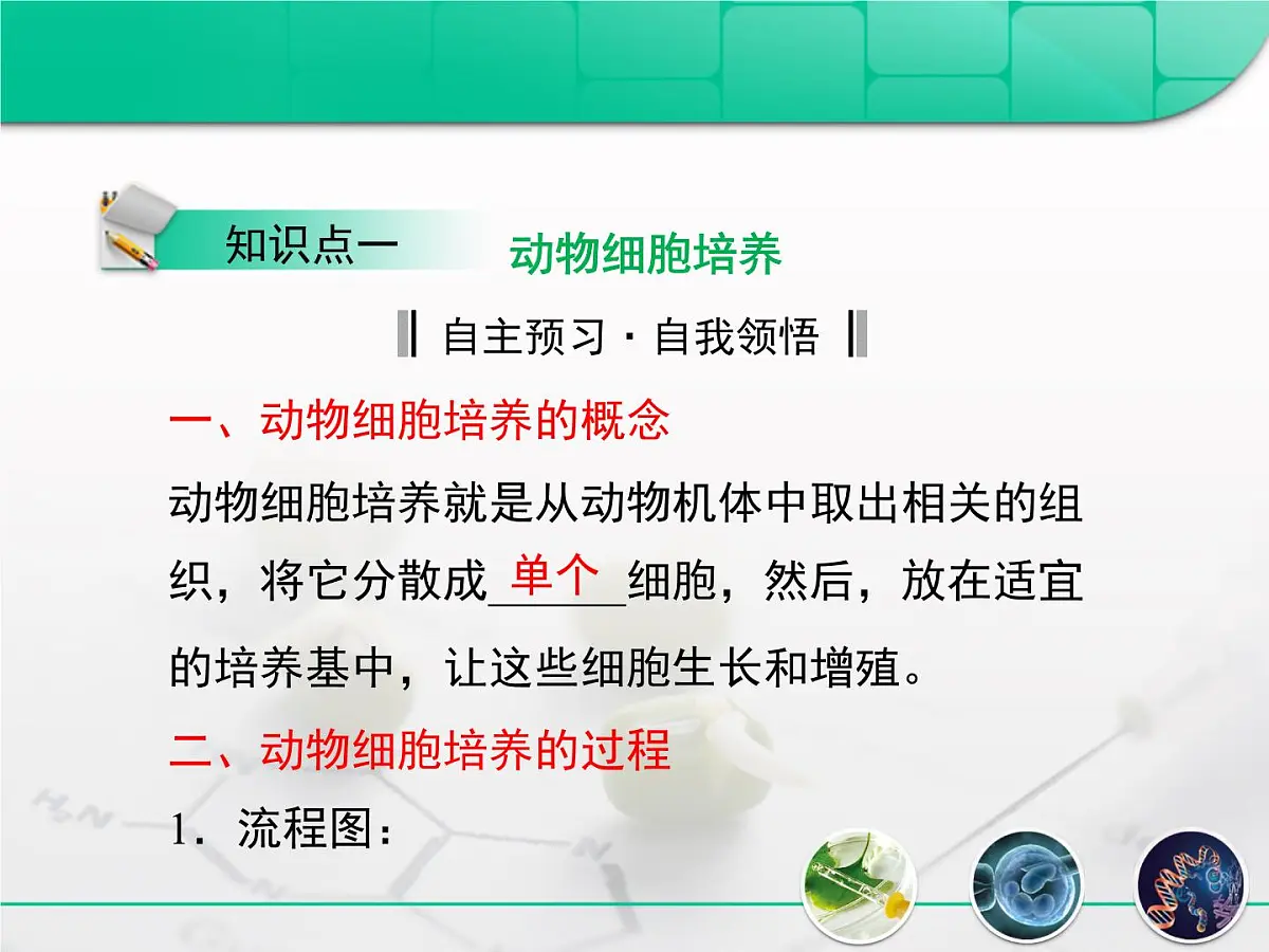 人教版 (新课标)高中生物选修3 2.2.1《动物细胞培养和核移植技术》复习课件第3页