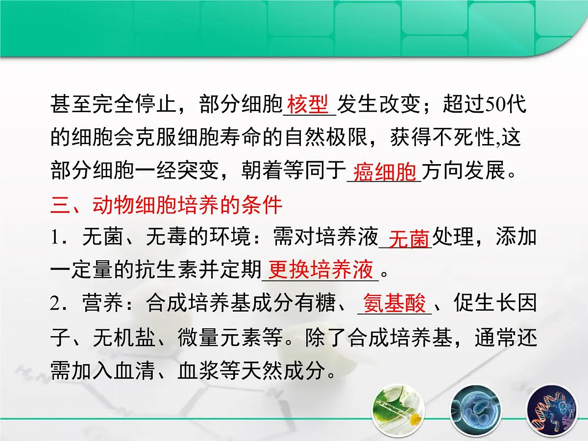 人教版 (新课标)高中生物选修3 2.2.1《动物细胞培养和核移植技术》复习课件第5页