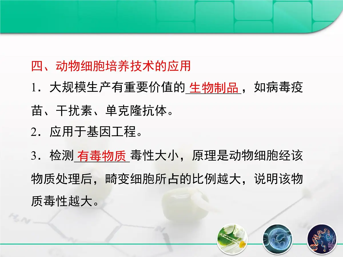 人教版 (新课标)高中生物选修3 2.2.1《动物细胞培养和核移植技术》复习课件第7页
