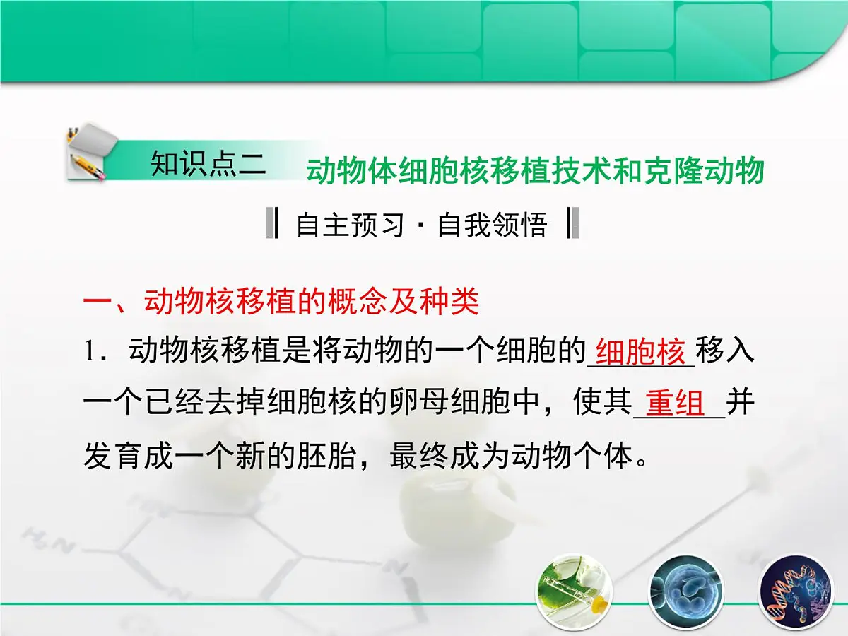 人教版 (新课标)高中生物选修3 2.2.1《动物细胞培养和核移植技术》复习课件第8页