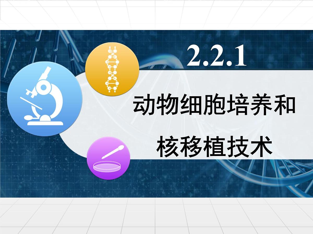 人教版 (新课标)高中生物选修3 2.2.1《动物细胞培养和核移植技术》课件第1页