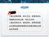 人教版 (新課標(biāo))高中生物選修3 2.2.1《動(dòng)物細(xì)胞培養(yǎng)和核移植技術(shù)》課件