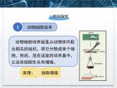 人教版 (新課標(biāo))高中生物選修3 2.2.1《動(dòng)物細(xì)胞培養(yǎng)和核移植技術(shù)》課件
