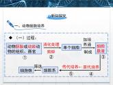 人教版 (新課標(biāo))高中生物選修3 2.2.1《動(dòng)物細(xì)胞培養(yǎng)和核移植技術(shù)》課件