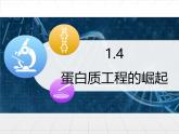 人教版 (新課標(biāo))高中生物選修3 1.4《蛋白質(zhì)工程的崛起》課件