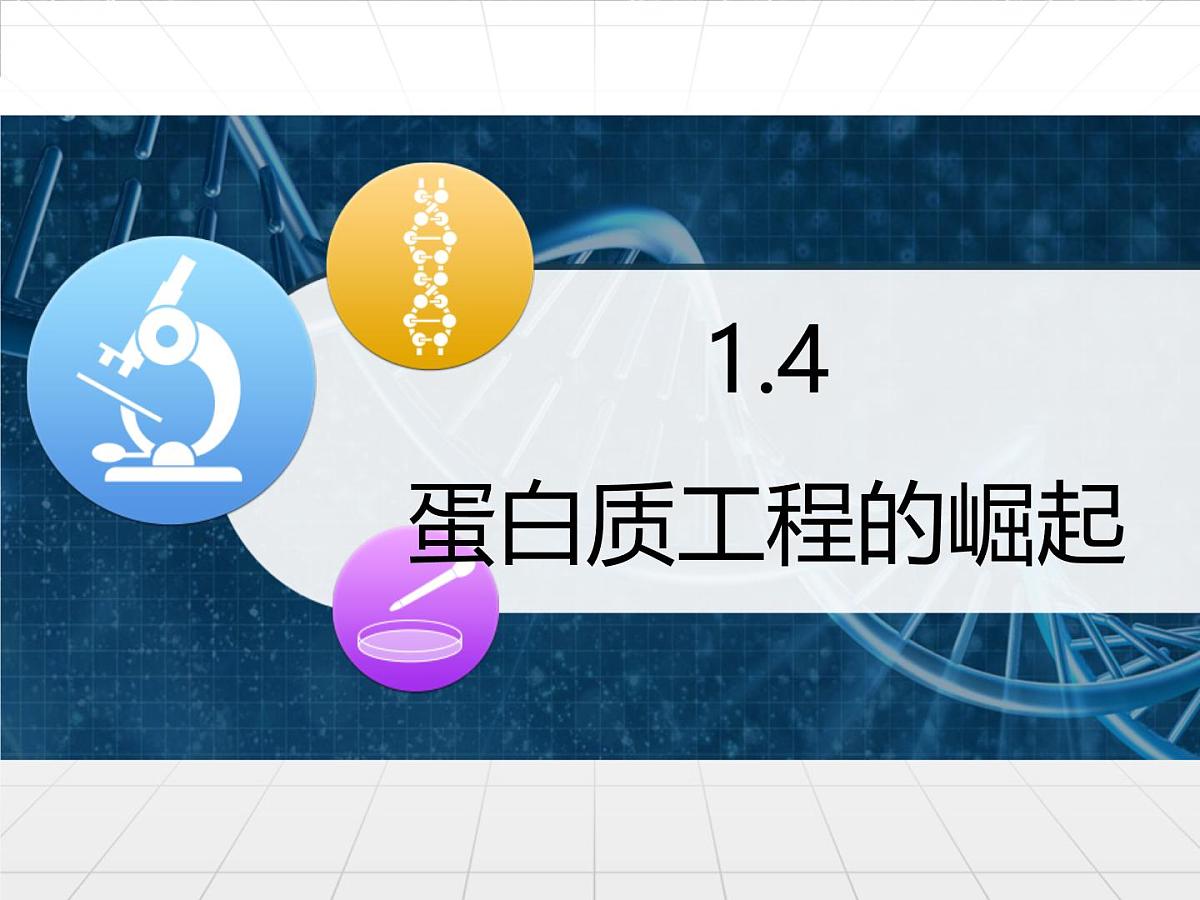 人教版 (新课标)高中生物选修3 1.4《蛋白质工程的崛起》课件第1页