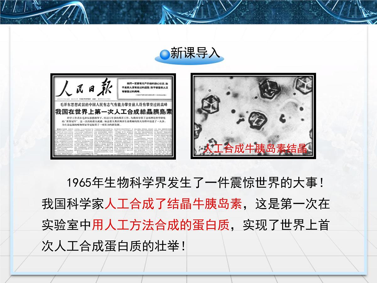 人教版 (新课标)高中生物选修3 1.4《蛋白质工程的崛起》课件第2页