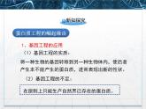 人教版 (新課標(biāo))高中生物選修3 1.4《蛋白質(zhì)工程的崛起》課件